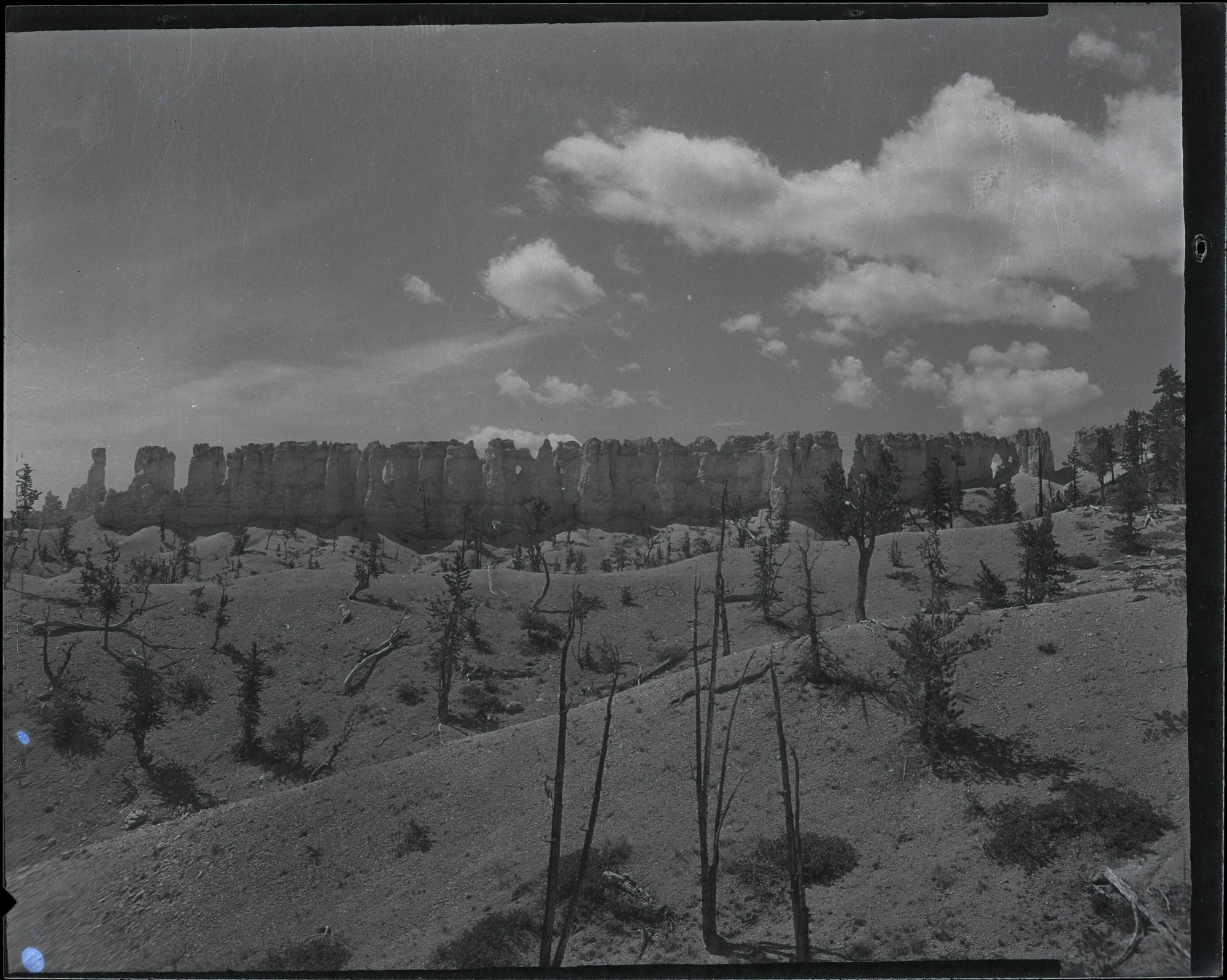 BRCA Museum and Archives Image