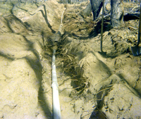 The Zion Lodge utilities project.