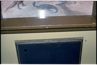 Color Photos of the old visitor center exhibits.