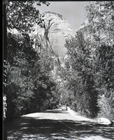 Lady Mountain, one vehicle on scenic drive.