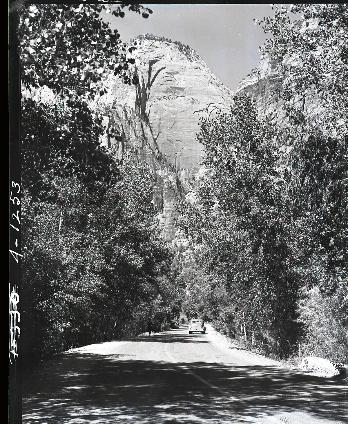 Lady Mountain, one vehicle on scenic drive.