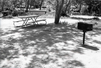 Empty campsite with picnic table and grill in South Campground.
