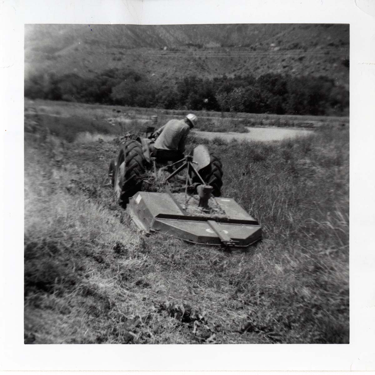 Park employee mowing on the tractor.