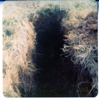 Personnel performing maintenance activities.