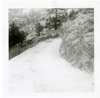 General view of the East Rim trail.