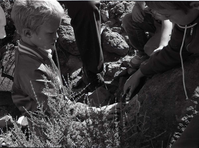 BW Photos of Junior Ranger Activities in Zion.