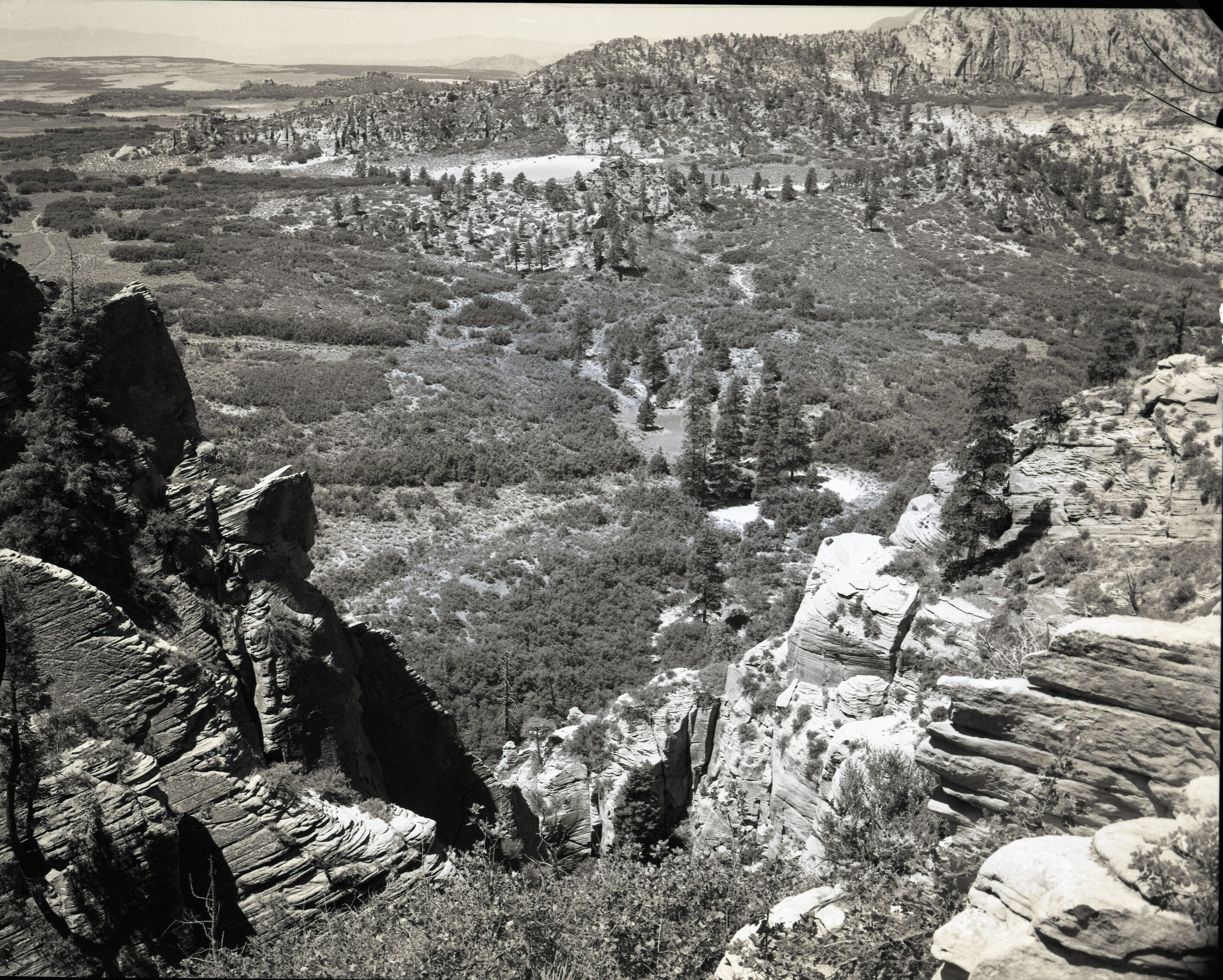 Record of vandalism, a half mile west of Neck Spring, Lee property beyond pine trees. Water matters involving Evan S. Lee.